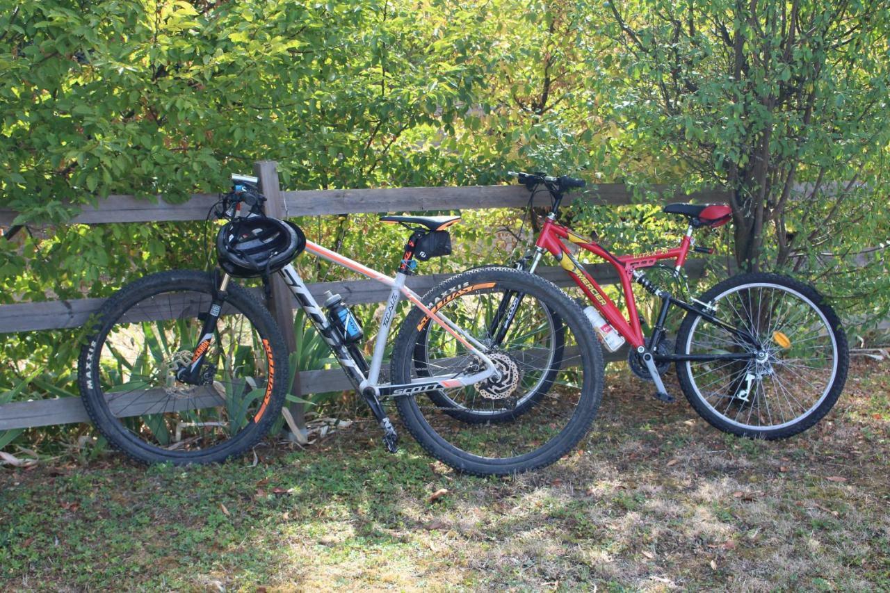 Le Vallon des Ronzières Gleizé Extérieur photo